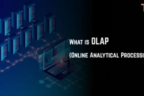 What is OLAP