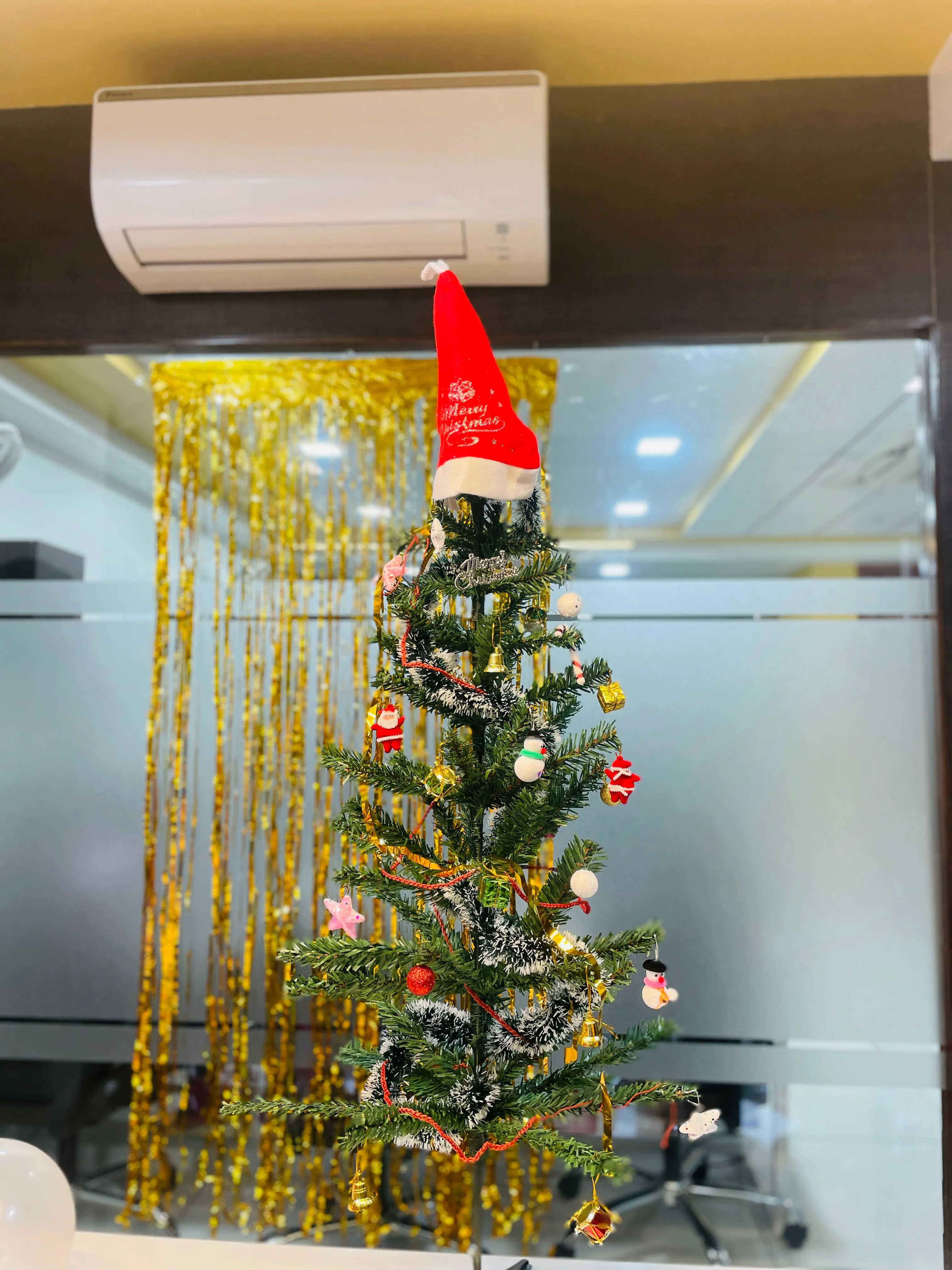 Christmas Celebrations